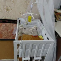 تخت کودک گهواره‌ای درحدنو|تخت و سرویس خواب|پارس‌آباد, |دیوار
