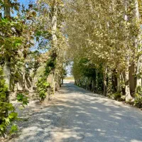 فروش-باغ-ویلا