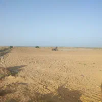 زمین کشاورزی درجه یک|فروش دفتر صنعتی، کشاورزی، تجاری|سوسنگرد, |دیوار