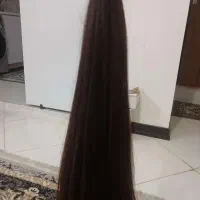 موی از سرچیده شده مناسب اکستنشن