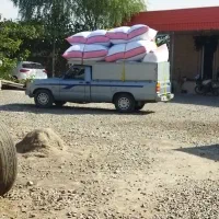 الیاف شمس ویسکوز توپی وساده