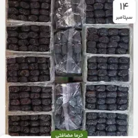 فروش عمده خرما مضافتی