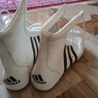 کفش بوکس
