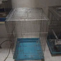 قفس کاسکویی و ساده فروش فوری
