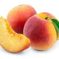 آلبرتا نهال هلو آلبرتا