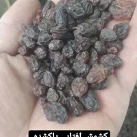 کشمش پلویی|خوردنی و آشامیدنی|تهران, هفت چنار|دیوار