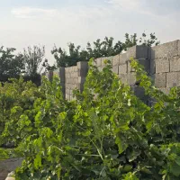 باغ و باغچه تحویل بنا یک ماهه سند دار قابل استفاده|فروش خانه و ویلا|شهریار, شهریار|دیوار