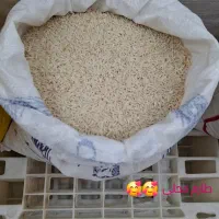 برنج ایرانی به ضمانت پخت