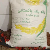 برنج دانه بلندپاکستانی
