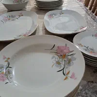 سرویس چینی|ظروف سرو و پذیرایی|مینودشت, |دیوار