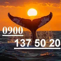خط رند 0900 - دوستاره با امتیازات ویژه