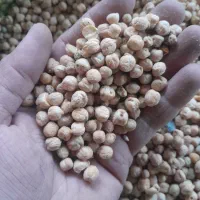 نخود فلافلی