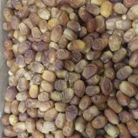 خرما زاهدی صادراتی