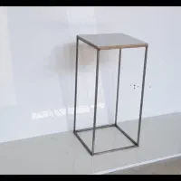 حراج استند گل|گل و گیاه طبیعی|شیراز, نصرآباد|دیوار