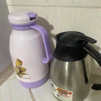 فلاکس مسافرتی