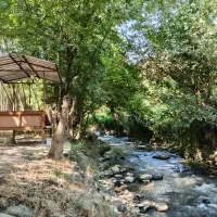 اجاره سوییت کنار رودخانه با فضای سبز و آزاد|اجارهٔ کوتاه‌مدت ویلا و باغ|زیرآب, |دیوار