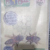 پک آمادگی  قبولی  پایه نهم به دهم|کتاب و مجله آموزشی|قم, چهل درخت‎|دیوار