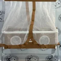 گهواره تا شو