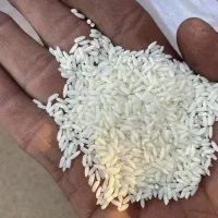 برنج سونامسوری شبیه عنبر بو