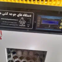 فروش  دستگاه جوجه کشی سالم با ۱۸ ماه گارانتی|لوازم جانبی حیوانات|میاندوآب, |دیوار