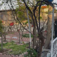 باغچه داخل بافت با نامه جهاد و سند|فروش زمین و ملک کلنگی|شاهدشهر, |دیوار