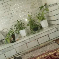 قیمت توافقی است