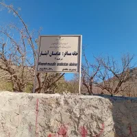 اجاره سوئیت در آبشار گیوک