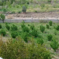 باغ ویلا انجیلاق 4500 متر سند تک برگ