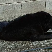 خرید و فروش کرمان هرمزگان|گردهمایی و همایش|منوجان, |دیوار