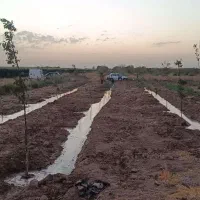 باغ-450-متری-و-900-متری-جهان-آباد-املاک-مزرعه