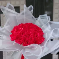 20شاخه قرمز جذاب کاغذ دوبل