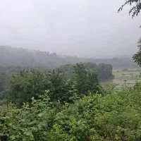 زمین طلاب فروش