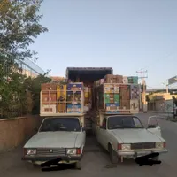 کارتون موز سبد ته کارتون ضربه گیر روزنامه|عمده‌فروشی|سنندج, |دیوار