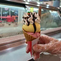 نیروی کار