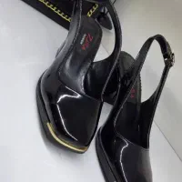 کفش مجلسی
