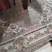 فرش ۶ متری|فرش|ارومیه, |دیوار