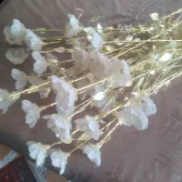 گلهای زیبای تزیینی|صنایع دستی و سایر لوازم تزئینی|جوانرود, |دیوار