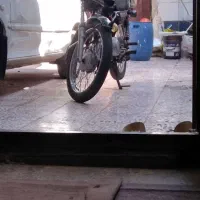 موتور سیکلت هوندا 125