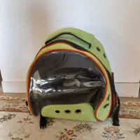 گربه پرشین|گربه|گرگان, |دیوار