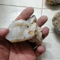 سنگ شجر سلیمانی توپی و....