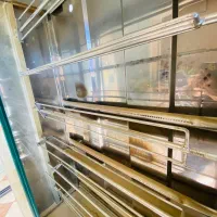 دستگاه مرغ بریان|کافی‌شاپ و رستوران|بانه, |دیوار