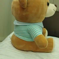 عروسک خرس|اسباب‌‌بازی|کرج, شهرک بنفشه|دیوار