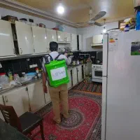 موریانه زدایی سمپاشی ساس موش مار عقرب کل مناطق