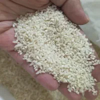 برنج 190|خوردنی و آشامیدنی|نظرآباد, نظرآباد|دیوار