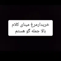 مرغ مینا سخنگو