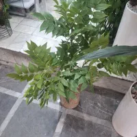 گل مصنوعی