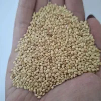 ارزن‌درشت‌وتمیز