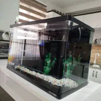 آکواریوم سالم و بزرگ شرکتی در بیدستان|ماهی|محمدیه-قزوین, |دیوار