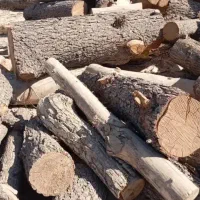 خرید چوب و قطع هر نوع درخت  (چوبوری)|خدمات باغبانی و درختکاری|هشتگرد, قاسم آباد بزرگ|دیوار