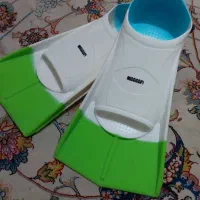فین شنا